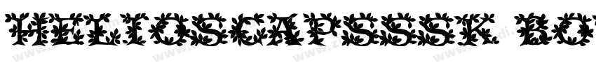 HeliosCapsSSK Bold字体转换